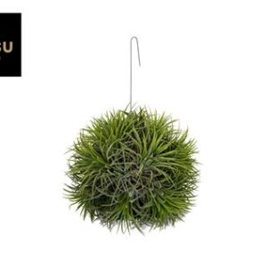 Tillandsia Magic Ball (xxl Jumbo)