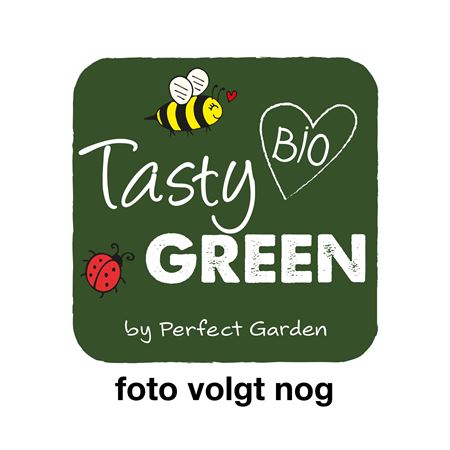 Ribes Uva-crispa Crispa