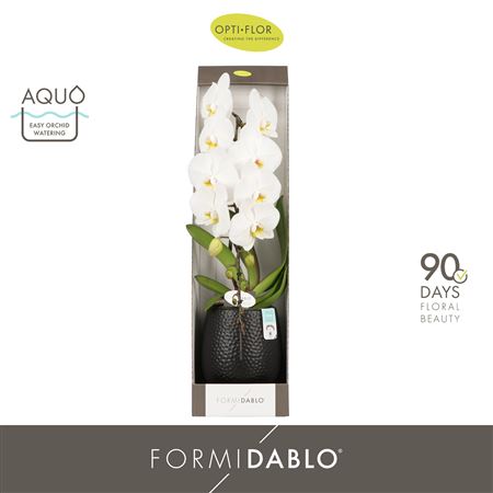 Phal Formidablo In Ceramic Black (opti)